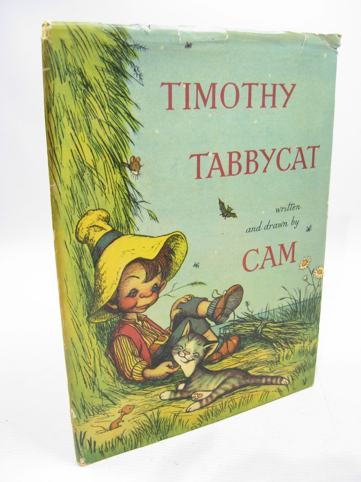 The Story Of Timothy Tabbycat