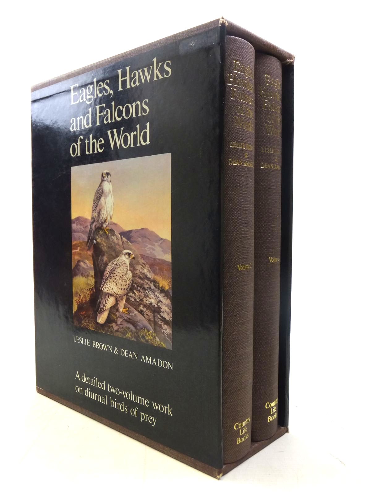 Eagles, Hawks And Falcons Of The World