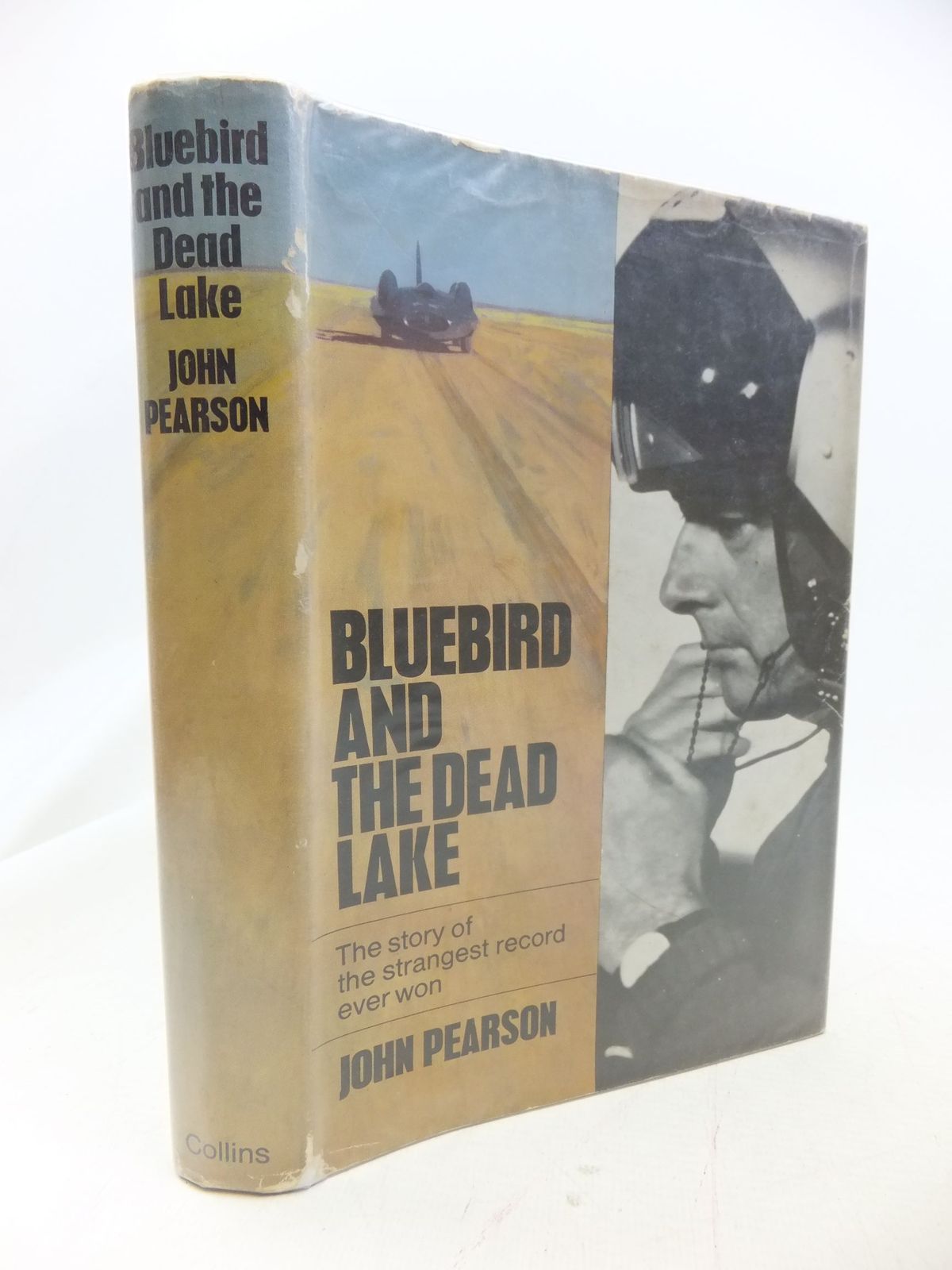 Bluebird And The Dead Lake