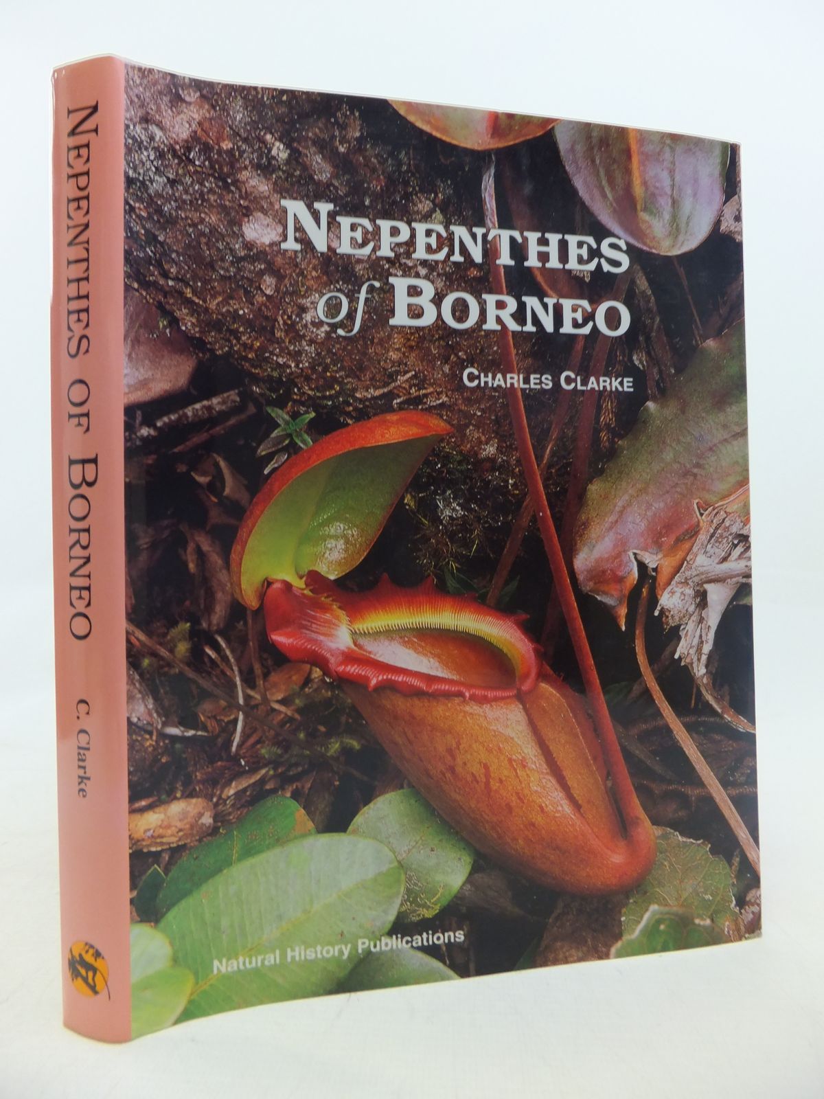 Nepenthes Of Borneo