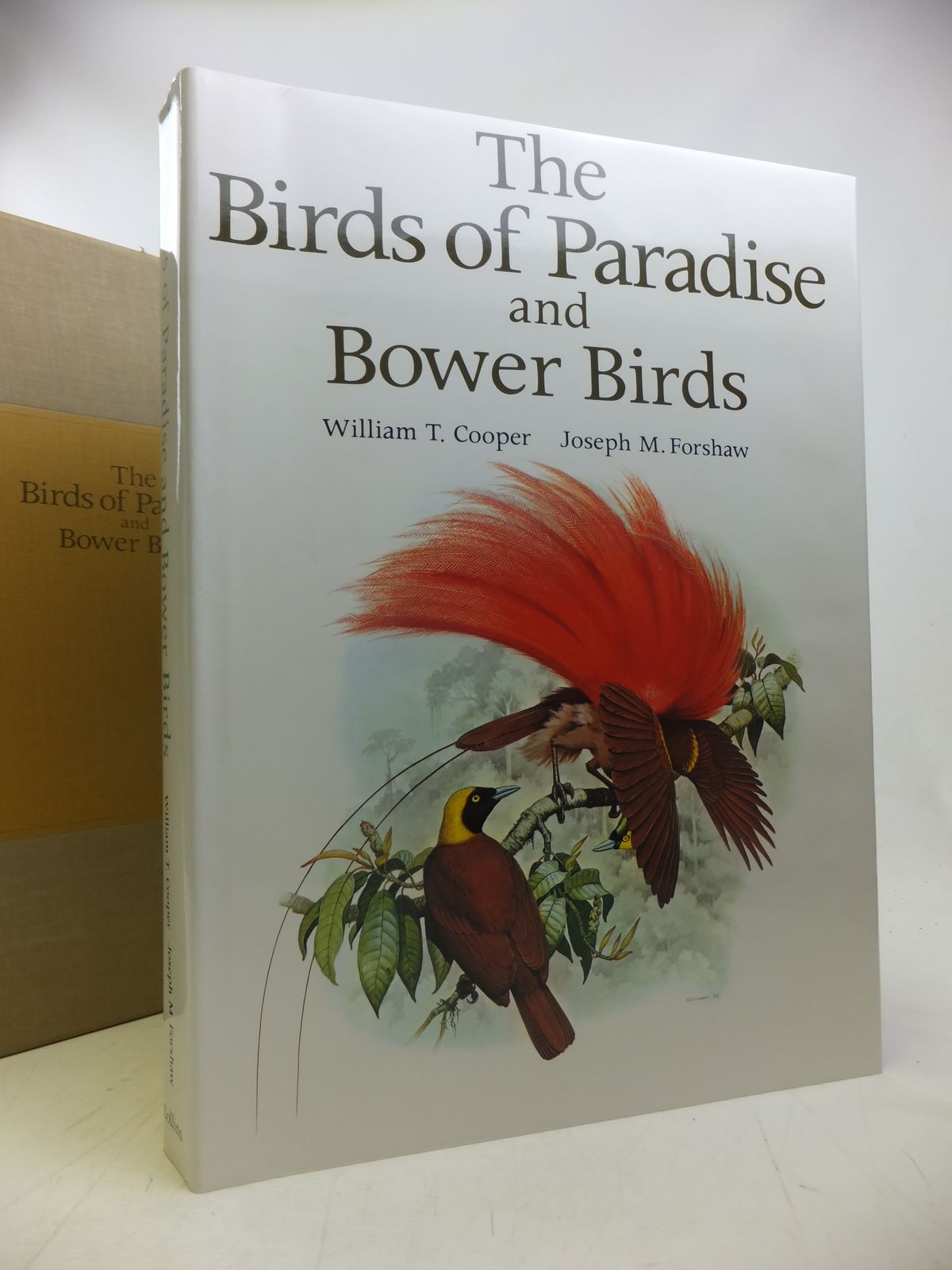 The Birds Of Paradise And Bower Birds