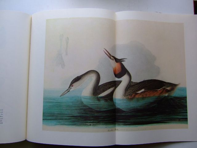 Audubons Aviary The Original Watercolors for The Birds of America
Epub-Ebook