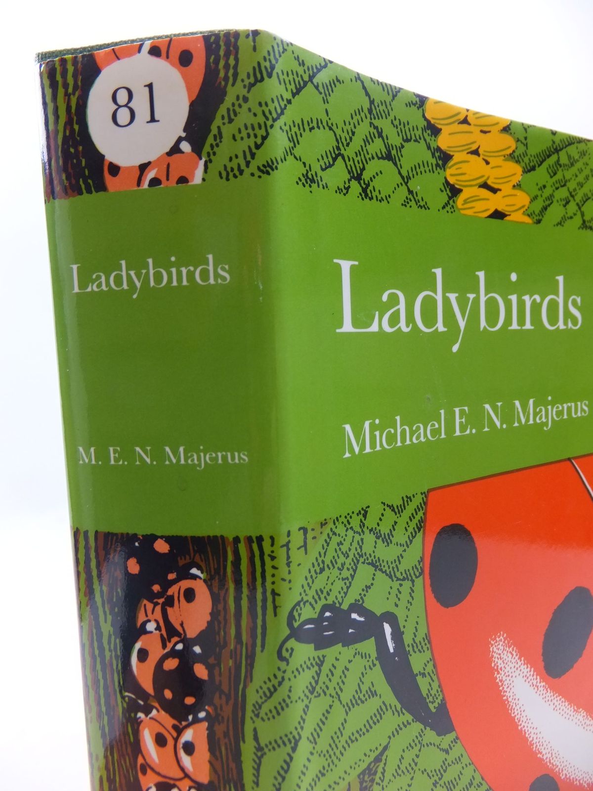 Ladybirds Nn 81 Written By Majerus Michael E N Stock