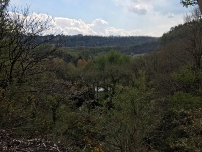 View Toward Chepstow