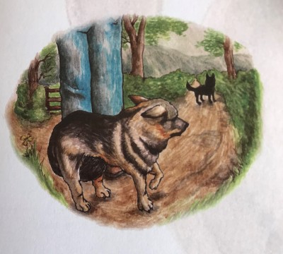 Sammy with black dog