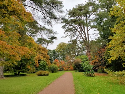 Arboretum