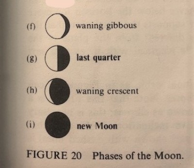 Phases of the Moon (2)