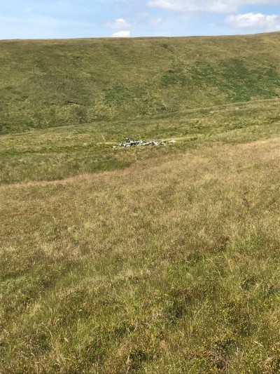 First View of the Wreckage