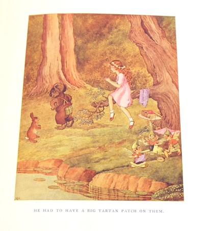 Little Green Road to Fairyland Koala