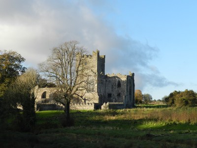 Tintern Abbey, Co. Wexford (Wiki)