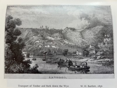 Transport of Timber & Bark