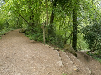 Path to Pulpit