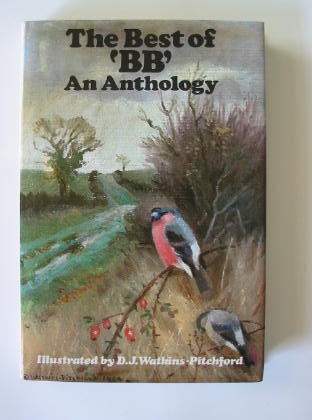 Cover of THE BEST OF BB AN ANTHOLOGY by  BB