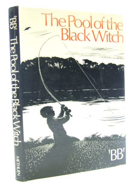 Cover of THE POOL OF THE BLACK WITCH by  BB