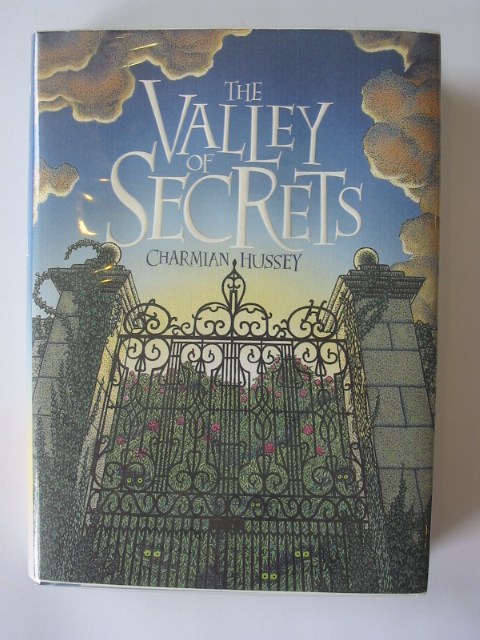 Cover of THE VALLEY OF SECRETS by Charmian Hussey
