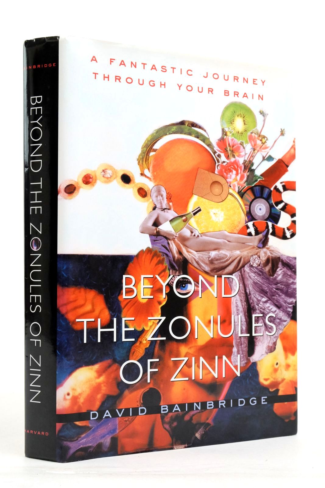 Cover of BEYOND THE ZONULES OF ZINN: A FANTASTIC JOURNEY THROUGH YOUR BRAIN by David Bainbridge