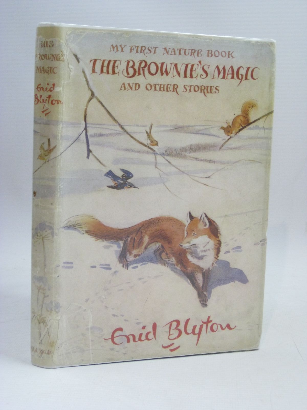 Cover of MY FIRST NATURE BOOK THE BROWNIE'S MAGIC AND OTHER STORIES by Enid Blyton