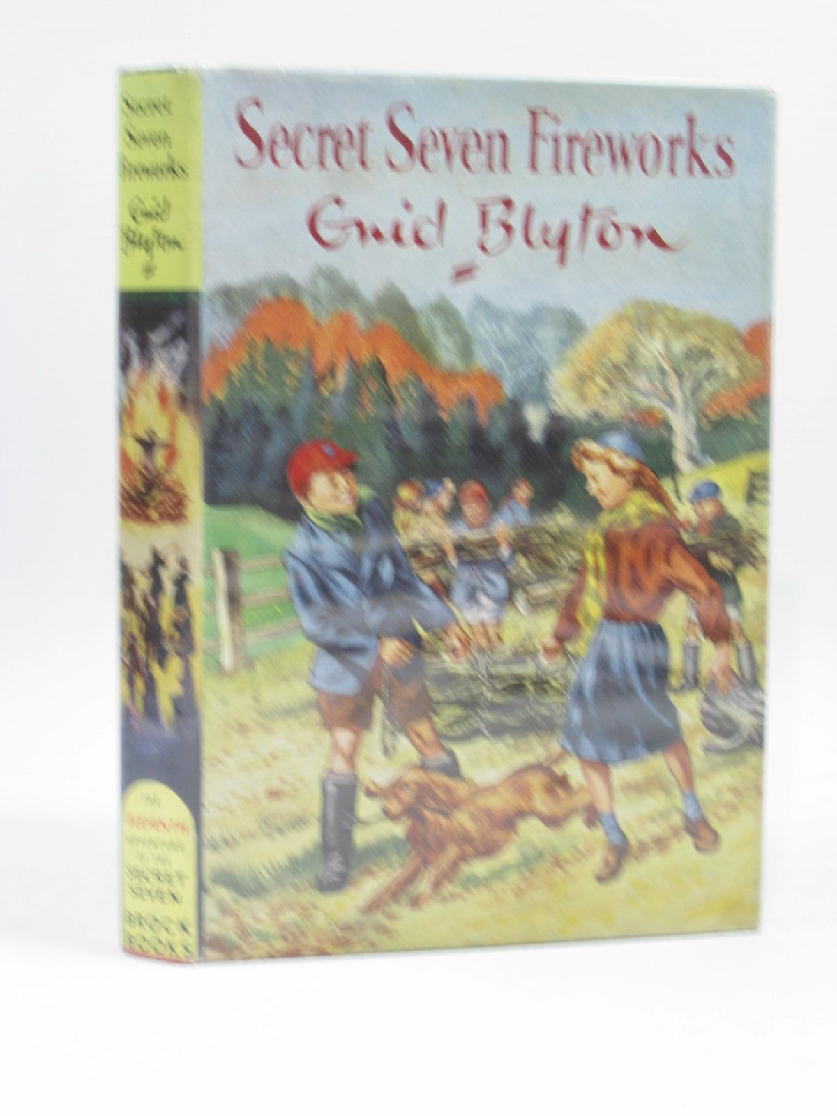 Cover of SECRET SEVEN FIREWORKS by Enid Blyton