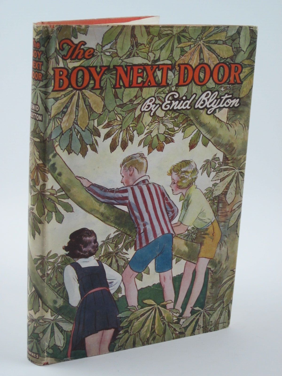 Cover of THE BOY NEXT DOOR by Enid Blyton