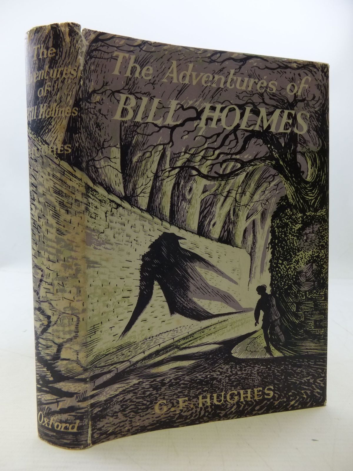 Cover of THE ADVENTURES OF BILL HOLMES by G.F. Hughes