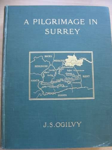 Cover of A PILGRIMAGE IN SURREY by James S. Ogilvy
