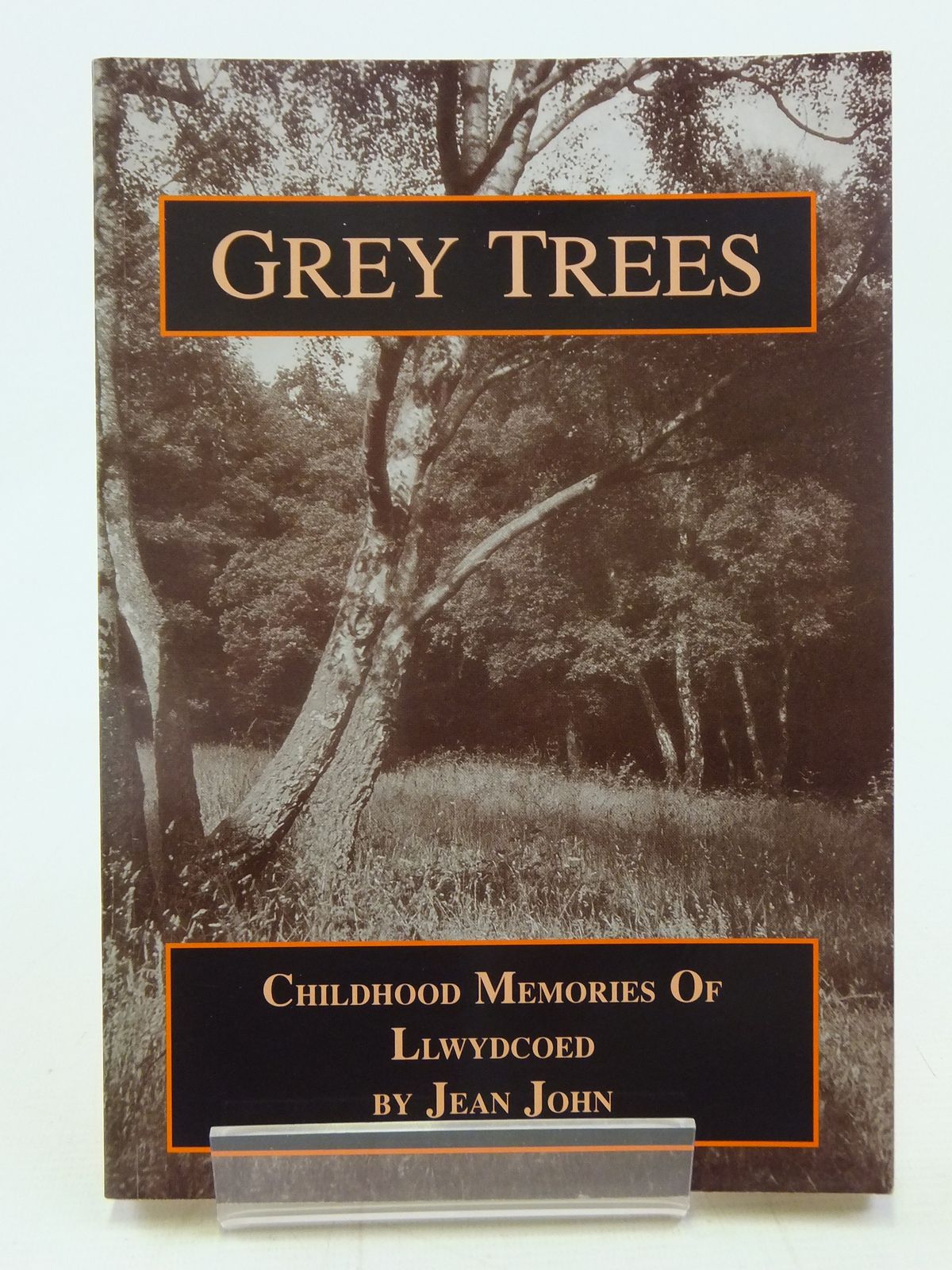 Cover of GREY TREES CHILDHOOD MEMORIES OF LLWYDCOED by Jean John