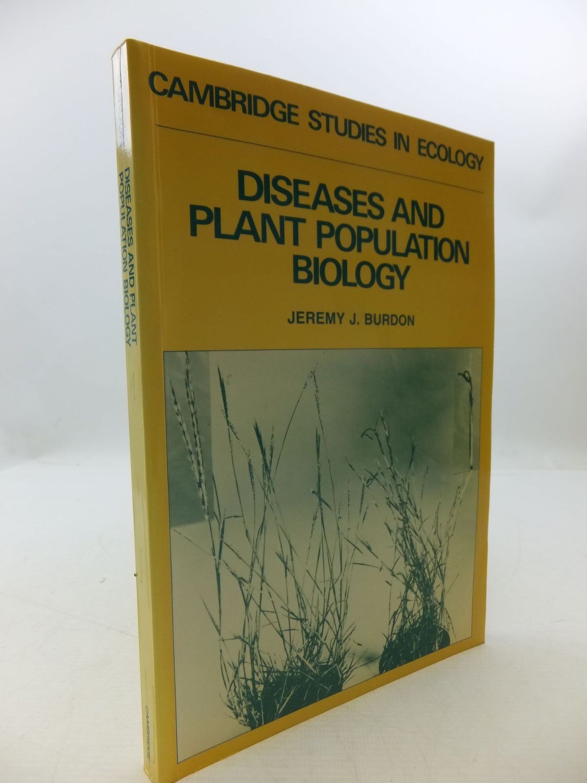 Cover of DISEASES AND PLANT POPULATION BIOLOGY (CAMBRIDGE STUDIES IN ECOLOGY) by Jeremy J. Burdon