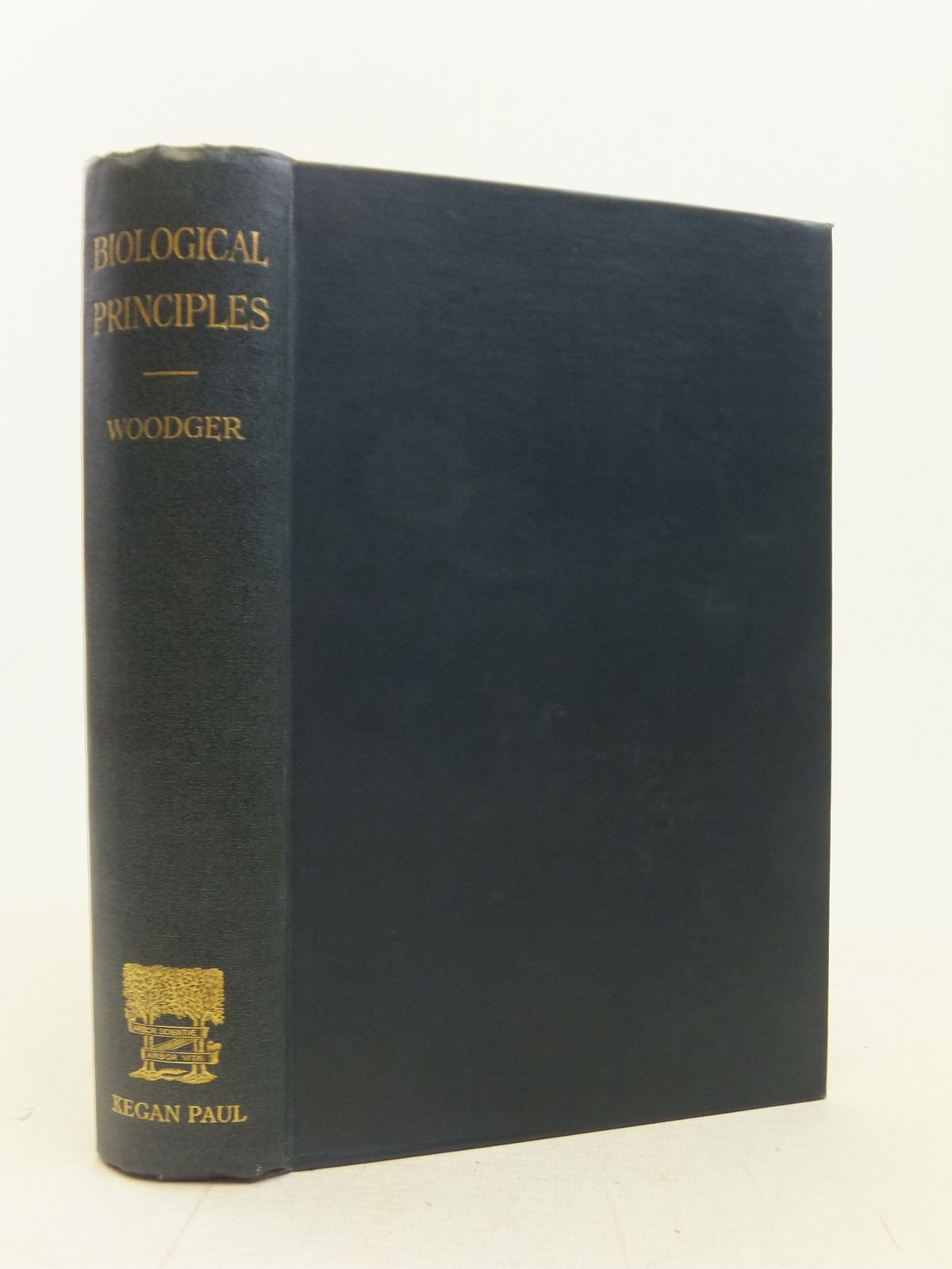 Cover of BIOLOGICAL PRINCIPLES A CRITICAL STUDY by J.H. Woodger