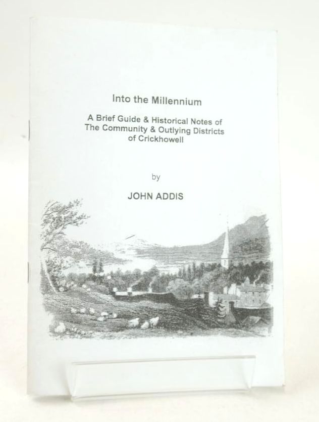 Cover of INTO THE MILLENNIUM by John Addis