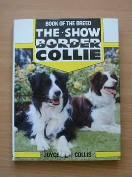 Cover of THE SHOW BORDER COLLIE by Joyce Collis