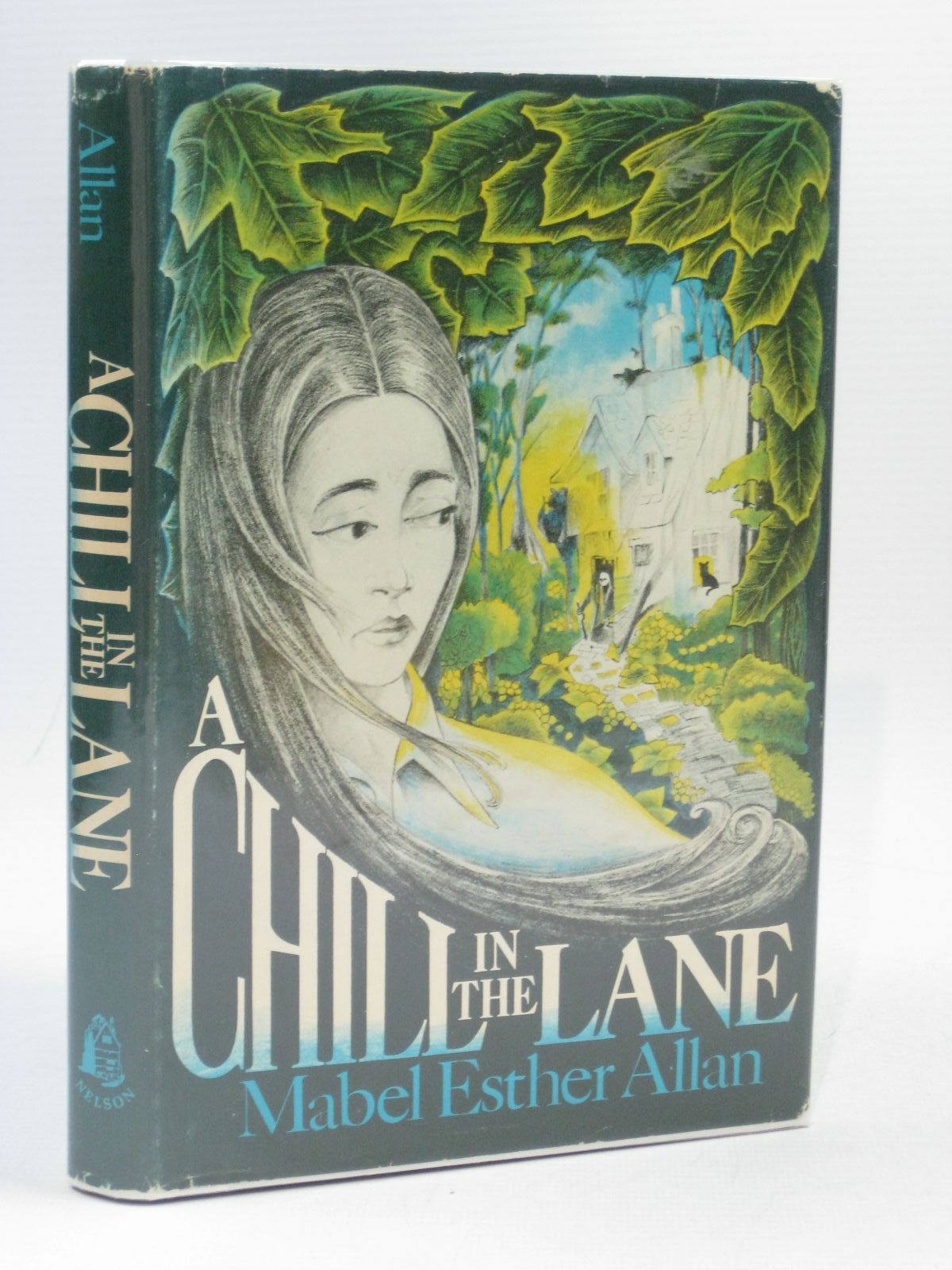 Cover of A CHILL IN THE LANE by Mabel Esther Allan