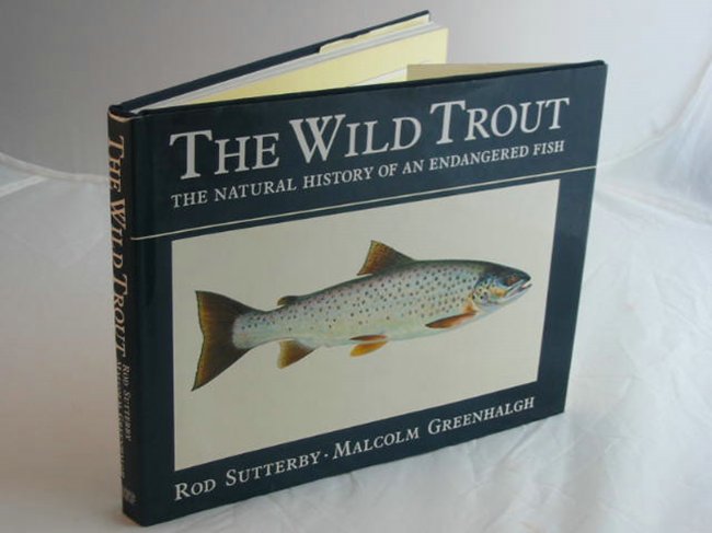 Cover of THE WILD TROUT by Malcolm Greenhalgh
