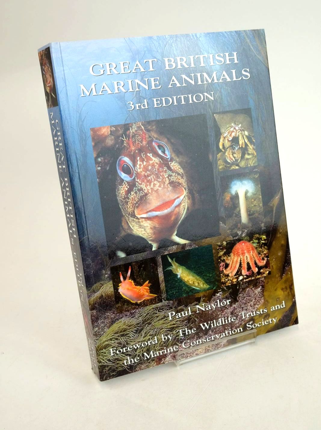 Cover of GREAT BRITISH MARINE ANIMALS by Paul Naylor