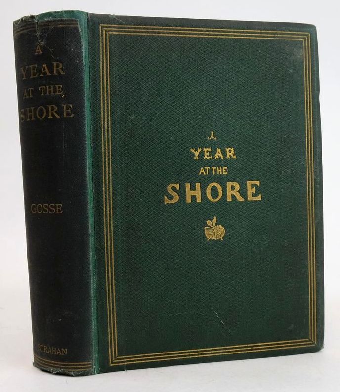 Cover of A YEAR AT THE SHORE by Philip Henry Gosse