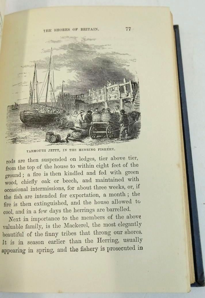 Cover of THE OCEAN by Philip Henry Gosse