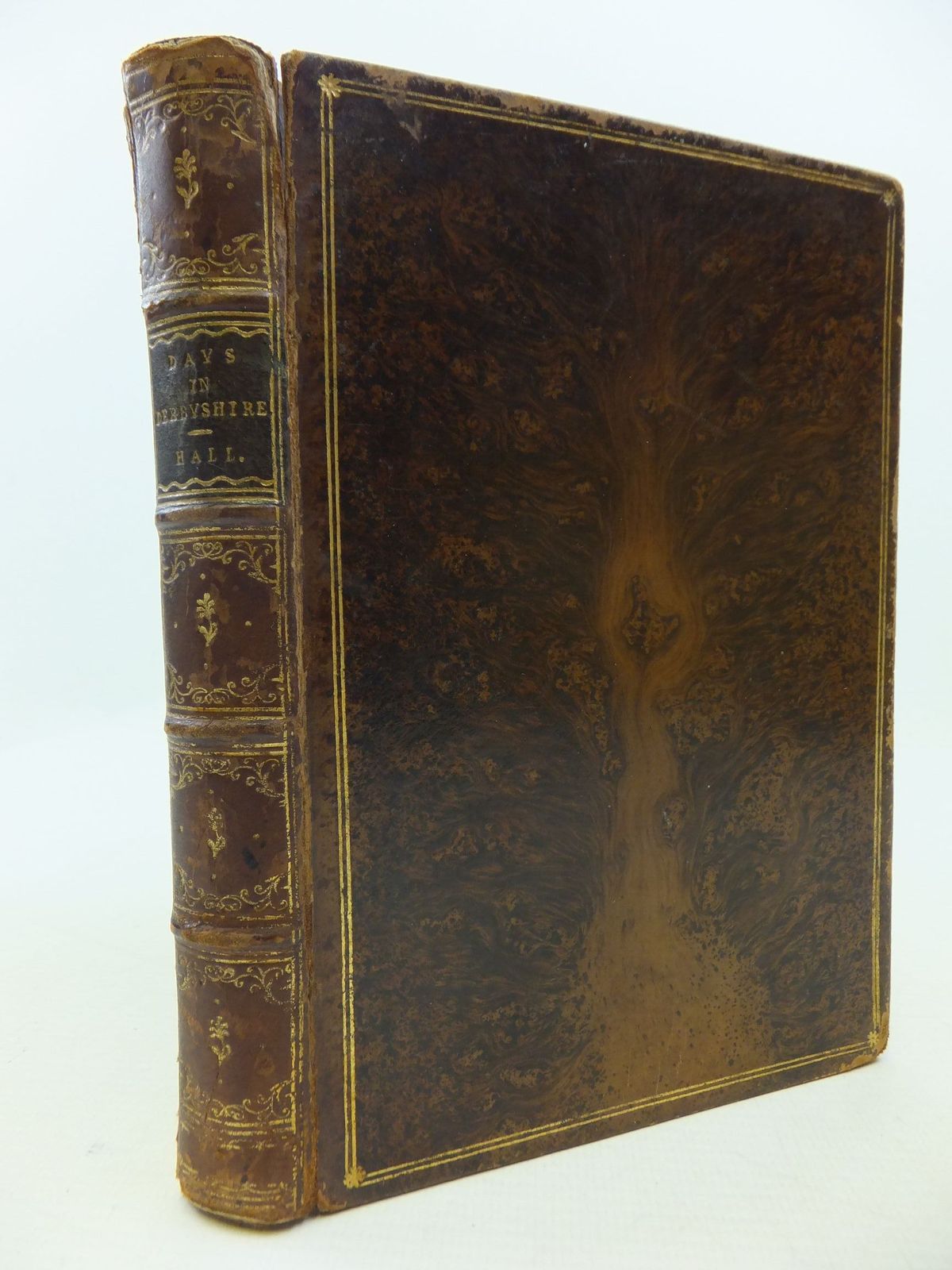 Cover of DAYS IN DERBYSHIRE by Spencer T. Hall