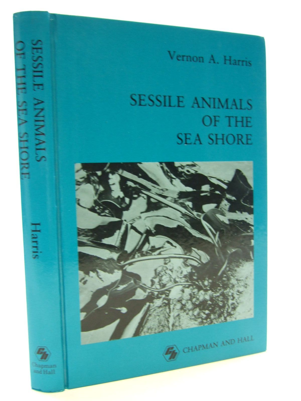 Cover of SESSILE ANIMALS OF THE SEA SHORE by Vernon A. Harris