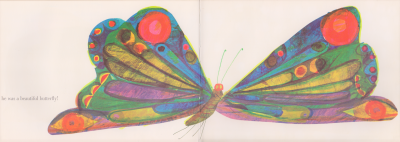 A Beautiful Butterfly