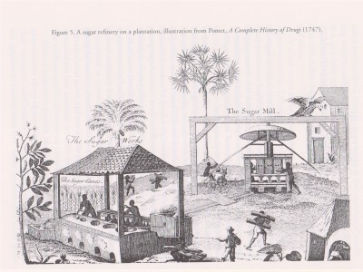 Refinery on a Plantation