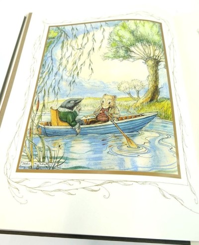 Colour Illustrations