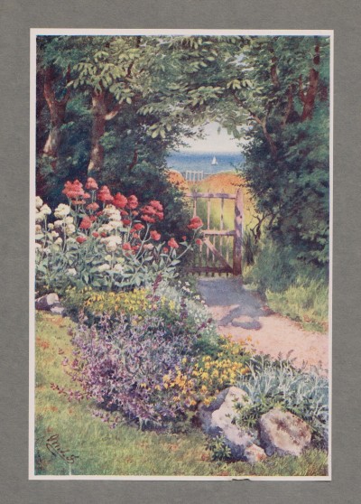 Colour in the Herb Garden