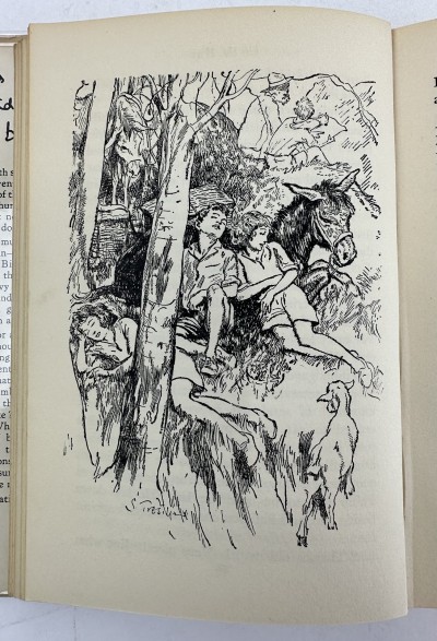 Sleeping on the Mountain