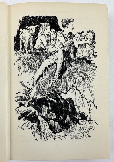 Black & White Illustrations