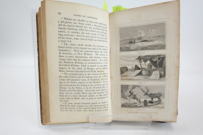 Whales, Cod & Copper