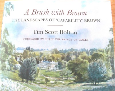 Cover of A Brush with Brown