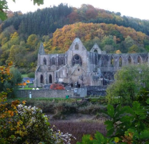 Autumnal view of Tintern Abbey