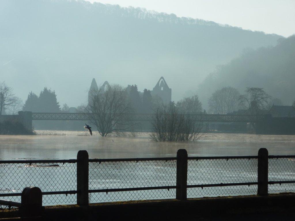Tintern Abbey Through the Mist