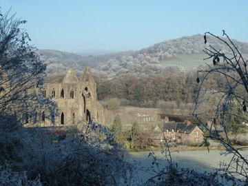 Tintern Abbey Frost
