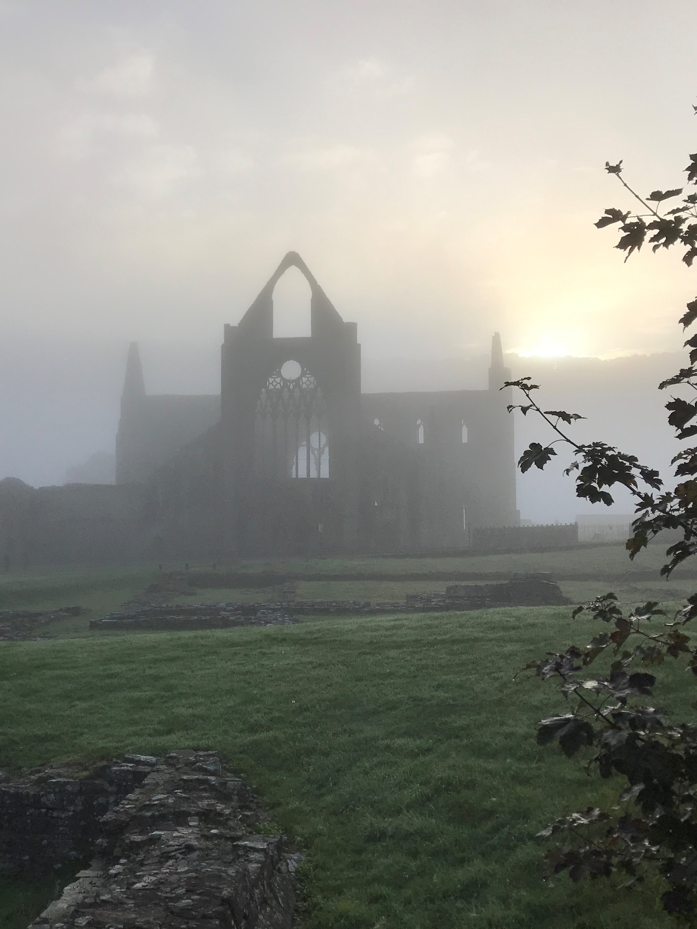 Tintern Abbey at Sunrise