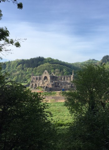 View of Tintern Abbey through the trees from the east side of the River Wye.